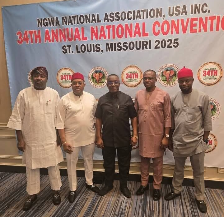 Gov. Otti Urges Ngwa Diaspora to Partner in Driving Abia’s Development